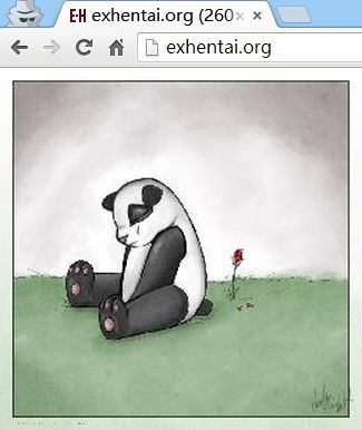 一只伤心的熊猫