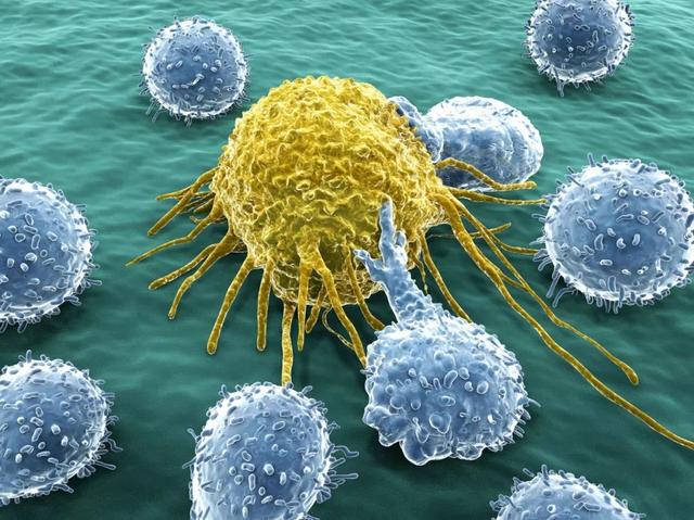 去除“捣乱”免疫细胞，《自然》子刊的抗癌新技术可显著缩小肿瘤